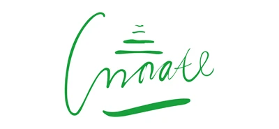 Dongguan Tecnologia Inteligente Inata Co., Ltd.